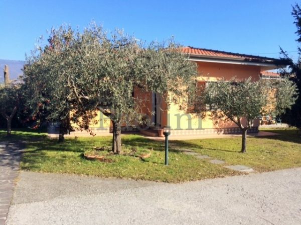 Riferimento V498 - Villa for Affitto in Cinquale